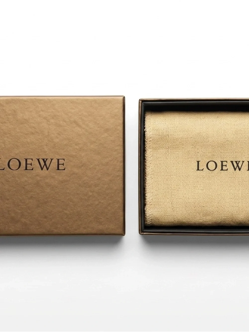 NIB Loewe Keyring Holder